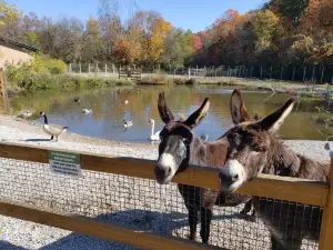 Living Treasures Animal Park