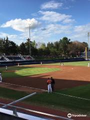 Davenport Field at Disharoon Park