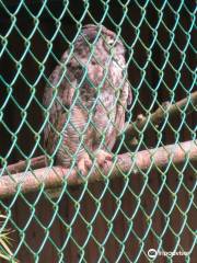 Sardis Raptor Center