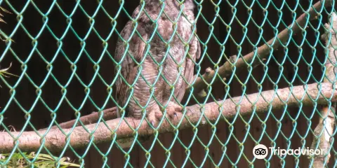 Sardis Raptor Center