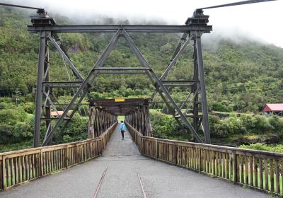 Brunner Mine Site Walk