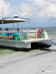 Odyssey Cruises