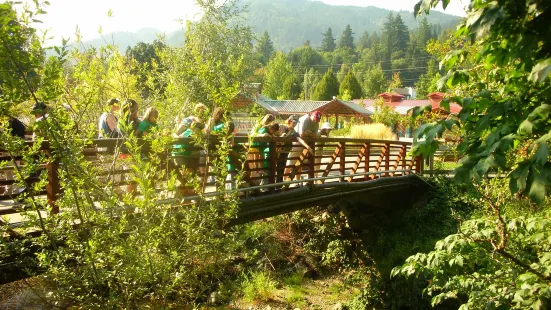 Friends of the Issaquah Salmon Hatchery