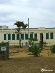 University of the Southeasy of Bahia Teaching Museum