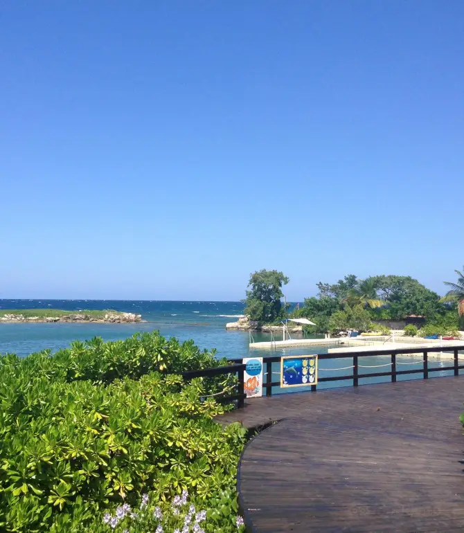 Lucea