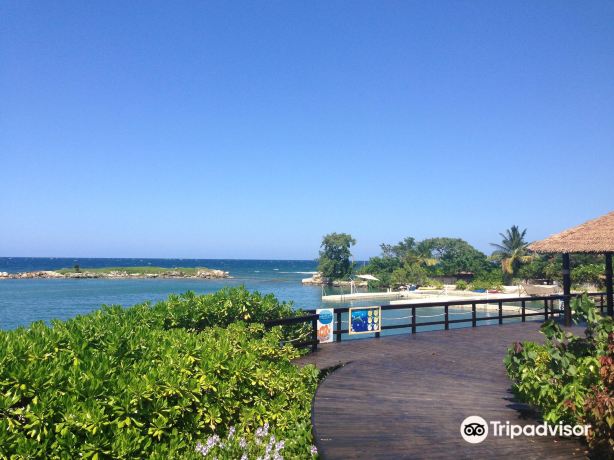 lucea
