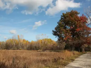 Brown County WI Barkhausen Waterfowl Preserve