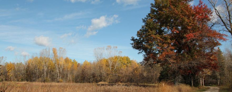 Barkhausen Waterfowl Preserve