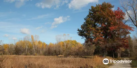 Barkhausen Waterfowl Preserve