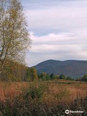 Mountain Meadow Preserve