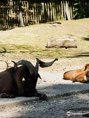 WBL - Wild Park Rheingönheim