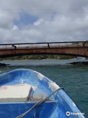 Colonia Bridge