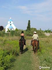 Salt Lake Stables Horse Riding Kos