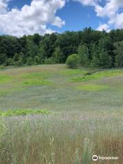 Pelizzari Natural Area