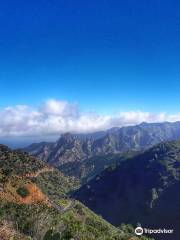 Parque Nacional de Garajonay