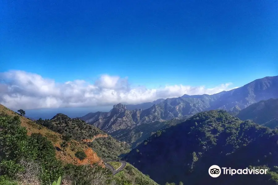 Parque Nacional de Garajonay