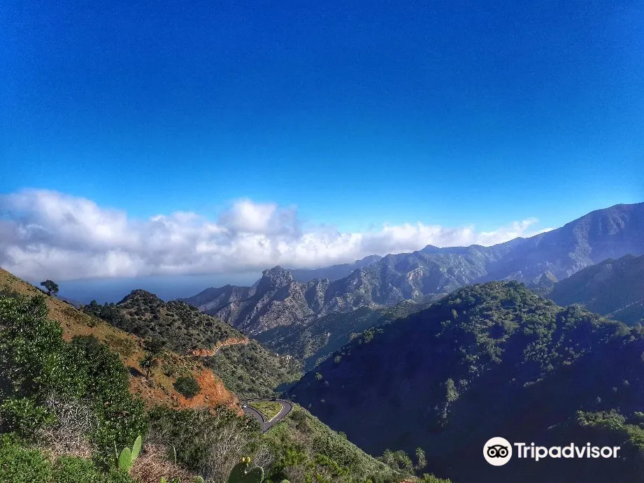 Parque Nacional de Garajonay