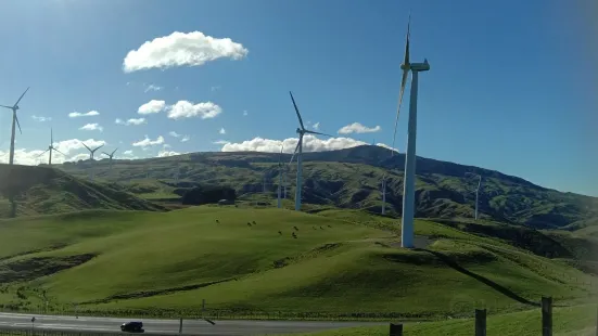 Te Apiti Wind Farm