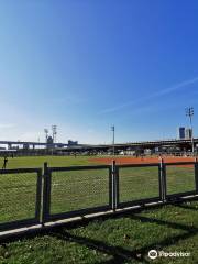 Shu Hong Baseball Field