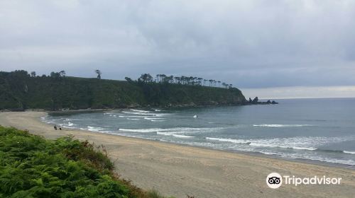 Playa de Barayo