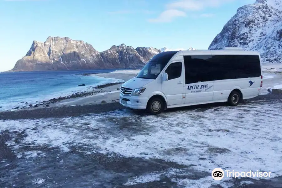 Arctic Buss Lofoten