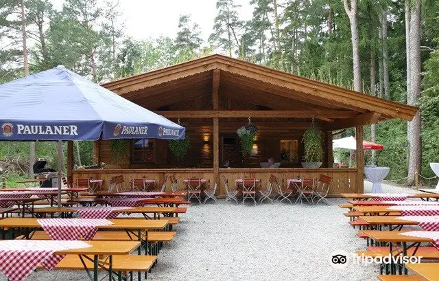 Münchner Wald Kletterwald Vaterstetten