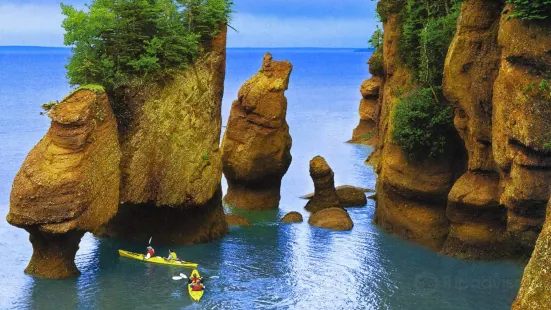 Bay Of Fundy