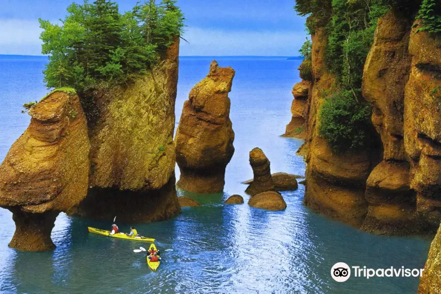 Bay Of Fundy