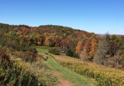 Delaware Otsego Audubon Soc. Sanctuary