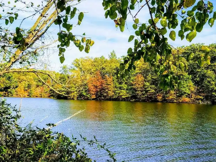 Hotels in Martic Township