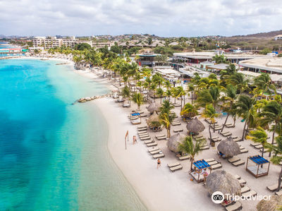 Mambo Beach Boulevard