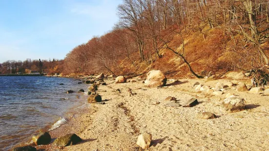 Garvies Point Museum & Preserve