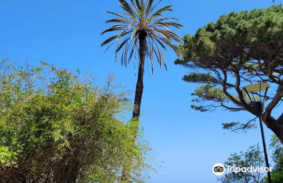 泰爾米尼伊梅雷塞