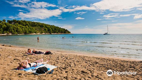 Vela Przina Beach