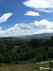 Zip Trek Park Aviemore