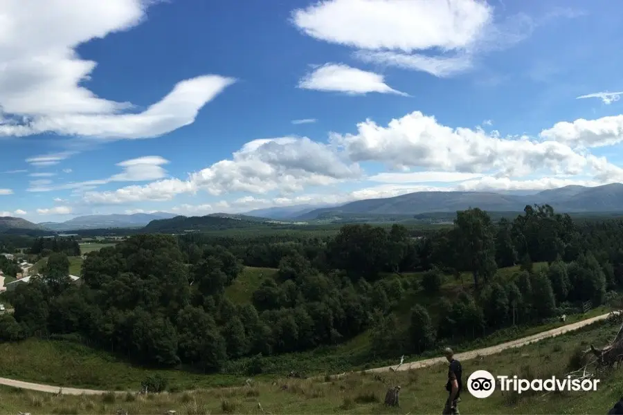 Zip Trek Adventure Park Aviemore