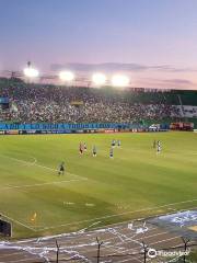 Estadio Ramon Tahuichi Aguilera