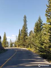 Tunnel Mountain Dr