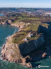 Berry Head National Nature Reserve