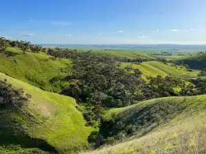 Spring Gully Conservation Park