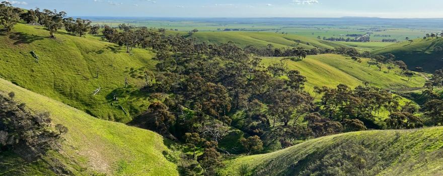 Spring Gully Conservation Park
