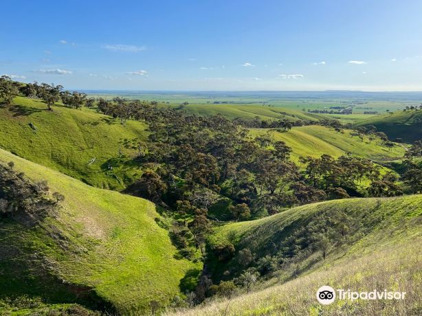 Spring Gully Conservation Park