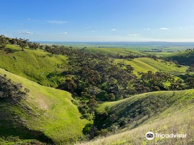Spring Gully Conservation Park