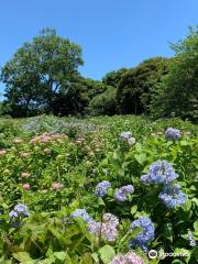 千葉市 昭和の森