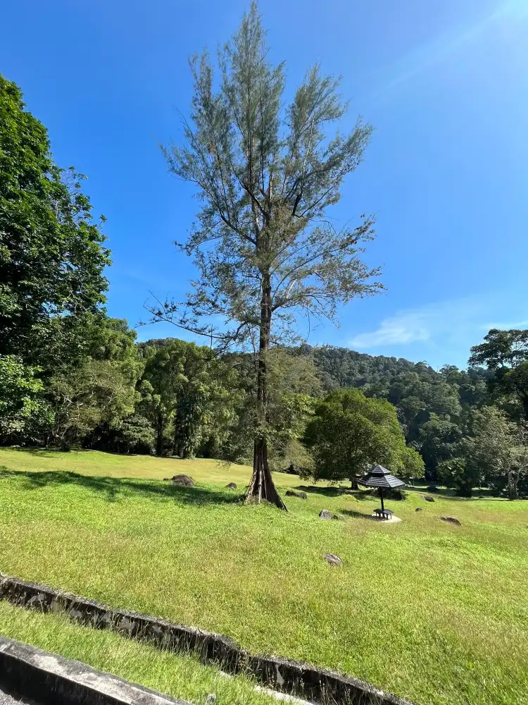 Hotels near Penang Botanic Gardens