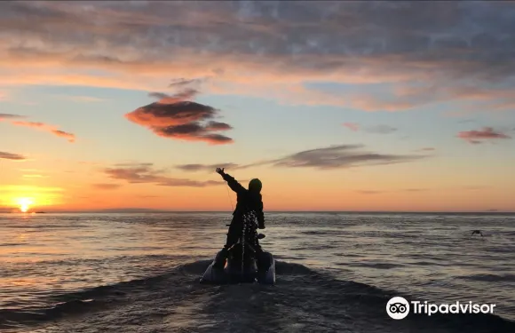 歐拉夫斯菲厄澤