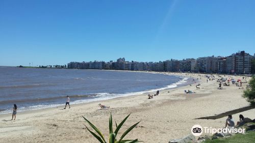 Rambla de Montevideo