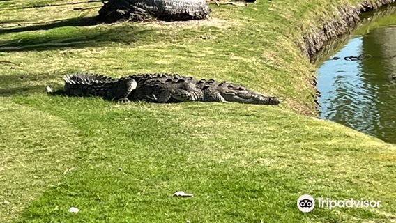 Marina Vallarta Golf Club