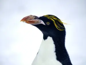 ピッツバーグ動物園＆PPG水族館