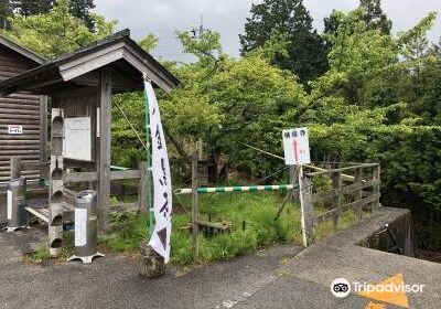 Yokomineji Temple No.60